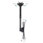 TooQ LPCE1170TSLI-B Soporte de Techo Giratorio, Inclinable y Nivelable para TV de 37 a 70 Pulgadas, Hasta 50 kg