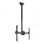 Tooq Soporte de Techo LPCE1170TSLI-B para TV de 37-70 pulgadas, Negro