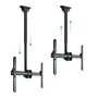 Tooq Soporte de Techo LPCE1170TSLI-B para Pantallas 37-70 pulgadas