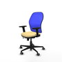 PIQUERAS Y CRESPO Silla de oficina Jorquera con mecanismo Sincro/Traslack Crema y Azul