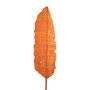 Rama Naranja Fibra Natural Decoración 19 X 7 X 200 cm (Set de 2)