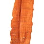 Ixia Rama Naranja de Fibra Natural 200 cm
