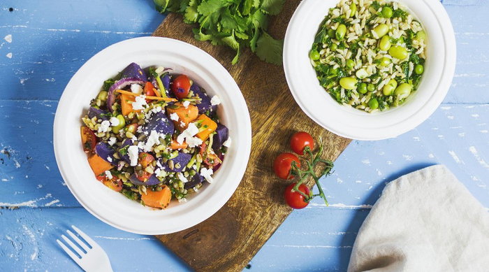 Quality Algon Set 15 Bolsas Biodegradables 400cc (24 Unidades)