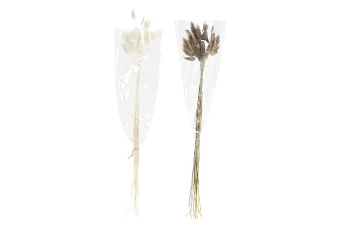 DKD Home Decor Ramo de Flores Secas 20x20x55 cm, Surtido de 2 piezas