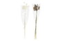 DKD Home Decor Ramo de Flores Secas 20x20x55 cm, Surtido de 2 piezas