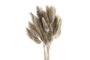 DKD Home Decor Ramo de Flores Secas 20x20x55 cm, Surtido de 2 piezas
