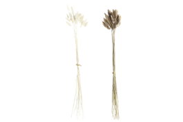 DKD Home Decor Ramo de Flores Secas 20x20x55 cm, Surtido de 2 piezas