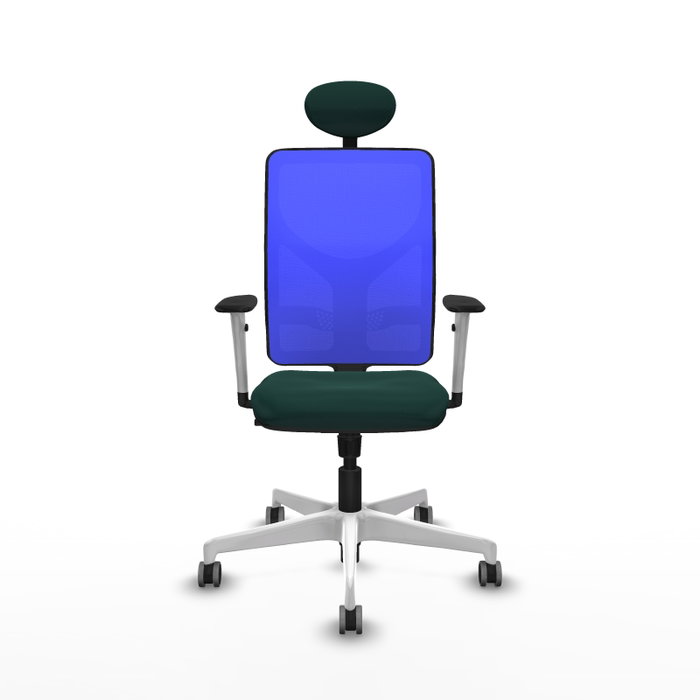 PIQUERAS Y CRESPO Silla de oficina Motilla con mecanismo Sincro Verde botella y Azul PIQUERAS Y CRESPO Silla de oficina Motilla con mecanismo Sincro Verde botella y Azul