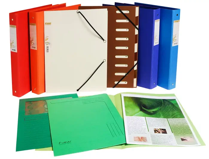 Exacompta Subcarpeta Cartulina Flash 100% Ecológica 220 g Din A4 Colores Surtidos