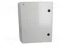 ELEKTRO-PLAST NASIELSK Carcasa de pared INDUSTRIAL SR Gris