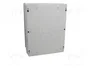 ELEKTRO-PLAST NASIELSK Carcasa de pared INDUSTRIAL SR Gris