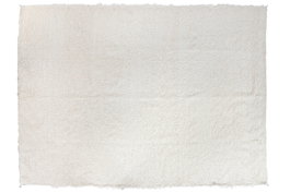 DKD Home Decor Alfombra de Algodón Reciclado Jarapa Crudo 200x300 cm
