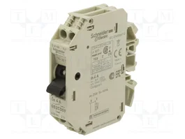 SCHNEIDER ELECTRIC Interruptor motorizado 4A 250VAC 1+N