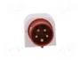 PAWBOL Conector de alimentación AC trifásico Macho 5 Pines 16A 400V