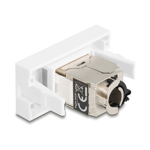 DeLOCK 90905 RJ45 Buchse LSA Cat.6A STP Conector Modul Easy 45, Blanco y Plata, 1 Pieza