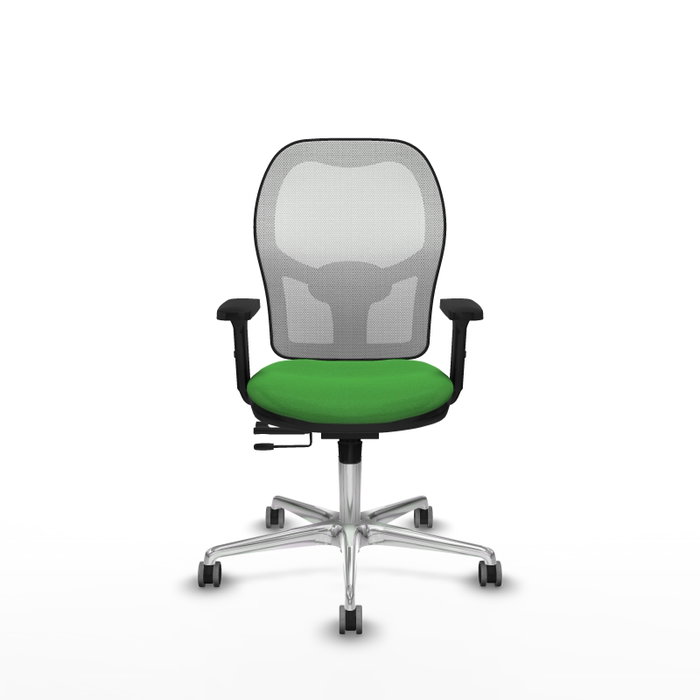 PIQUERAS Y CRESPO Silla de oficina Jorquera con mecanismo Sincro/Traslack, Tela Verde y Malla Blanca