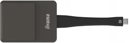 Iiyama WP D002C Adaptador Smart TV USB 4K Ultra HD Negro, Plata