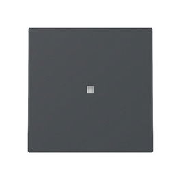 GIRA 329028 Wippe Kontrollf. System 55 Anthrazit Placa Frontal