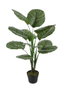 DKD Home Decor Planta Calatea Verde Marron Negro 60 x 102 x 50 cm Pvc Pp 2 Unidades