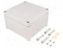 FIBOX TEMPO Carcasa Universal Gris IP65