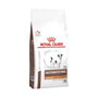 Royal Canin Canine Gastrointestinal Low Fat Small Dog 1,5kg