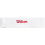 Cinta Deportiva para la Cabeza Wilson Terry Logo Headband Blanco Talla única