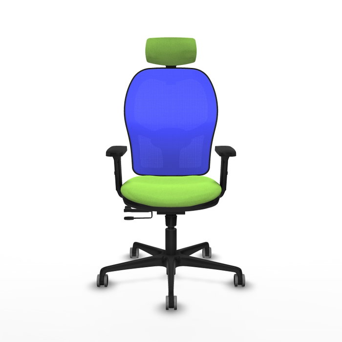PIQUERAS Y CRESPO Silla de oficina Jorquera con mecanismo Sincro/Traslack, Tela Pistacho y Malla Azul PIQUERAS Y CRESPO Silla de oficina Jorquera con mecanismo Sincro/Traslack, Tela Pistacho y Malla Azul