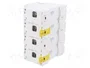 SCHNEIDER ELECTRIC Interruptor magnetotérmico ACTI9 C120N 4 polos 80A 10kA
