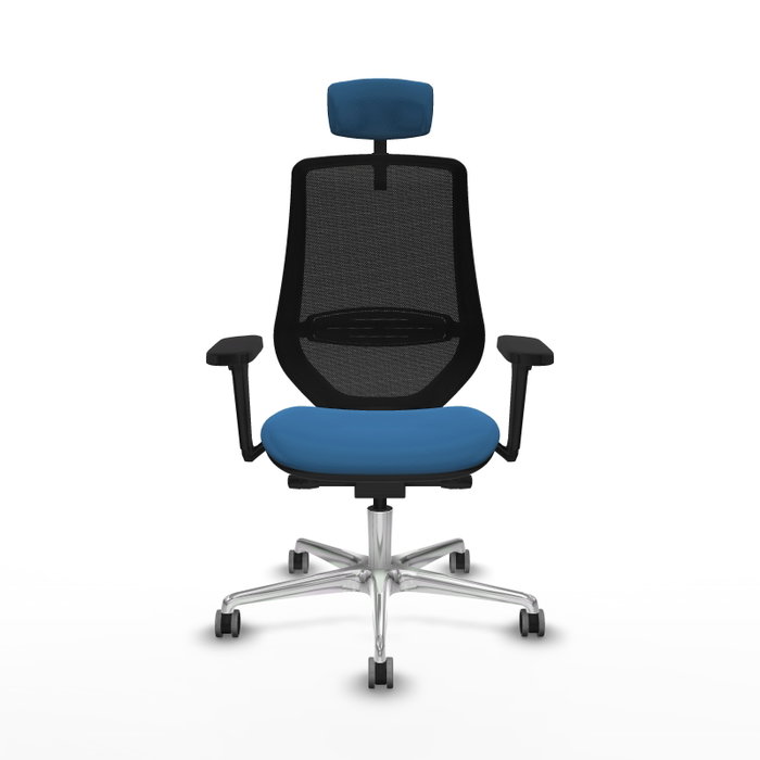 PIQUERAS Y CRESPO Silla de oficina Mardos con mecanismo Sincro/Traslack, Azul claro y Negro PIQUERAS Y CRESPO Silla de oficina Mardos con mecanismo Sincro/Traslack, Azul claro y Negro
