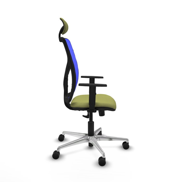 PIQUERAS Y CRESPO Silla de oficina Motilla con mecanismo Sincro, Tela Verde oliva y Malla Azul PIQUERAS Y CRESPO Silla de oficina Motilla con mecanismo Sincro, Tela Verde oliva y Malla Azul