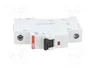 ABB Interruptor magnetotérmico SZ200 6A 1 polo Caract B