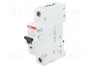 ABB Interruptor magnetotérmico SZ200 6A 1 polo Caract B
