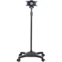 StarTech Soporte Móvil para Tablet con Ruedas Bloqueables y Altura Ajustable