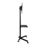 Techly ICA-TR21 TV Wagen/Trolley Móvil para TV LCD/LED de 23 a 55 Pulgadas, Negro