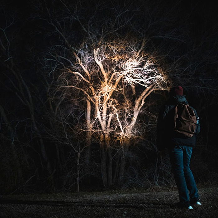 Nebo Linterna Táctica Newton 500, 4 Modos de Luz, Zoom X4, IP67, Aluminio, 500 Lúmenes Nebo Linterna Táctica Newton 500, 4 Modos de Luz, Zoom X4, IP67, Aluminio, 500 Lúmenes