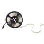 Tira LED SMD3528 12V 600 LEDs 48W 2.400Lm Blanco Frío 5m IP65