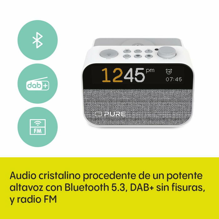 Radio Despertador Pure PURE MOMENT