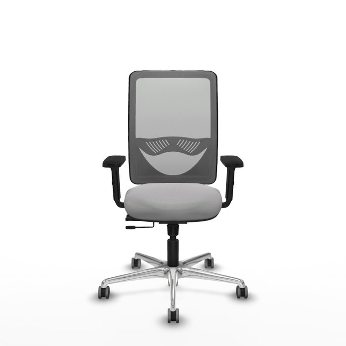 PIQUERAS Y CRESPO Silla de oficina Zulema con mecanismo Sincro/Traslack, Gris PIQUERAS Y CRESPO Silla de oficina Zulema con mecanismo Sincro/Traslack, Gris