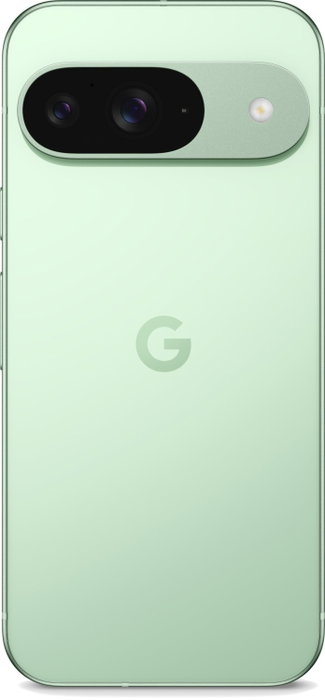 Google Pixel 9 128GB 12GB RAM 5G Wintergreen Verde