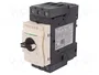 SCHNEIDER ELECTRIC Interruptor motorizado 11kW 230÷690VAC