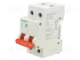 SCHNEIDER ELECTRIC Easy9 EZ Interruptor de aislamiento 2 polos 40A 400VAC
