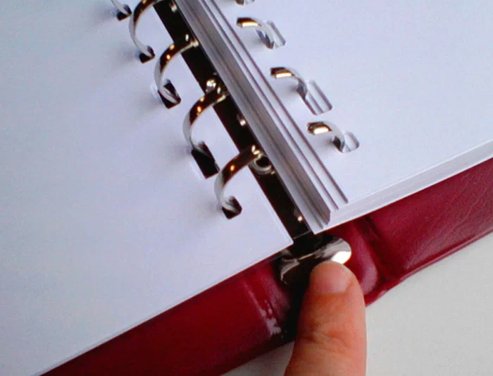 Liderpapel Libro de Actas DIN A4 con 30 Anillas, 100 Hojas Movibles Taladradas y Numeradas, Color Burdeos Liderpapel Libro de Actas DIN A4 con 30 Anillas, 100 Hojas Movibles Taladradas y Numeradas, Color Burdeos