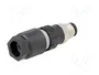 LAPP Conector Industrial M12 de 4 Pines, Macho, Recto