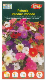 FITO Semillas de Petunia Pendula Variada