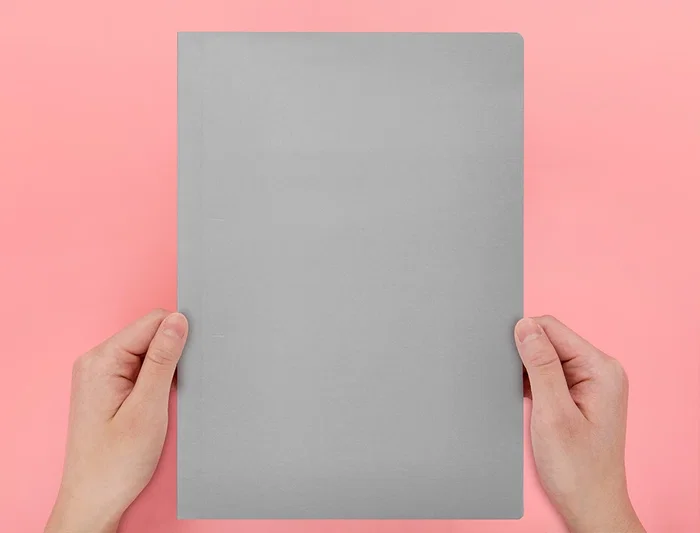 Liderpapel Subcarpeta A4 Gris 180g/m2 Cartulina