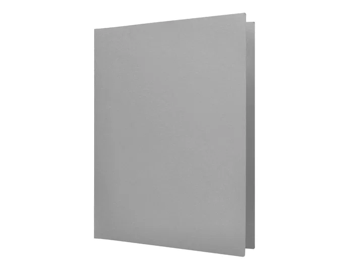 Liderpapel Subcarpeta A4 Gris 180g/m2 Cartulina