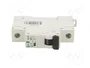 Promfactor Baltic Interruptor magnetotérmico ECO 1 polo 32A Caract B