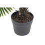 DKD Home Decor Planta de Helecho Verde de PVC 80x80x73 cm