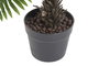 DKD Home Decor Planta de Helecho Verde de PVC 80x80x73 cm