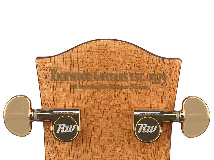 Guitarra Acústica Richwood Electrificada Auditorium Artesana Guitarra Acústica Richwood Electrificada Auditorium Artesana